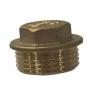 Brass Plug