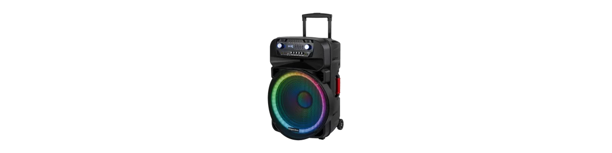 Portable PA Systems – Mobile Sound for Events and Presentations