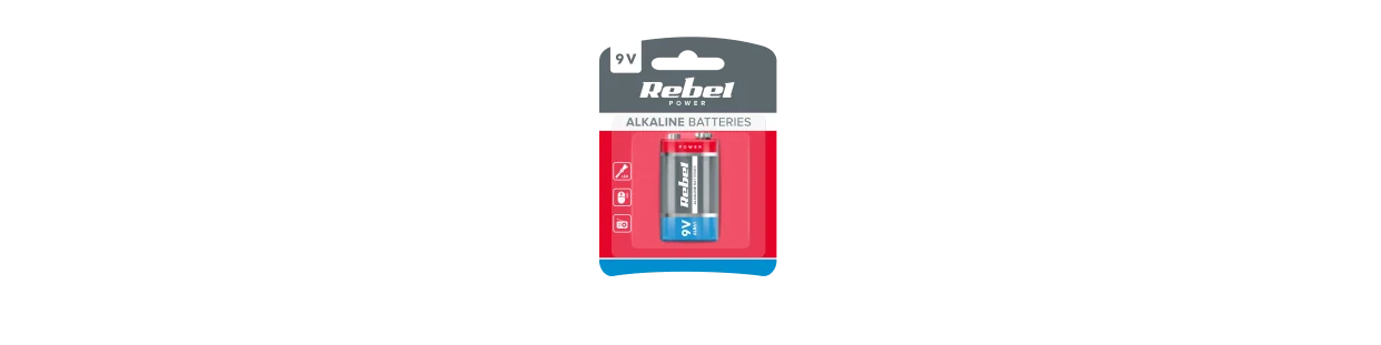 Alkaline Batteries | Universal Power Source for Home and Office