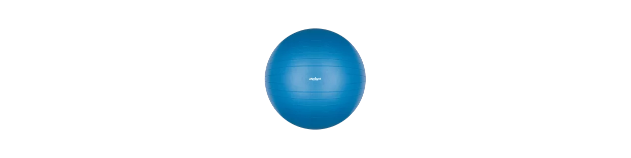 Fitness Exercise Balls – Home Training, Rehabilitation, Balance
