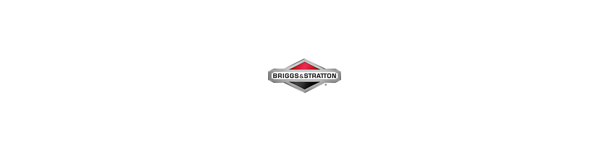 Briggs & Stratton części