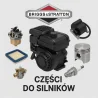Briggs&Stratton spare parts
