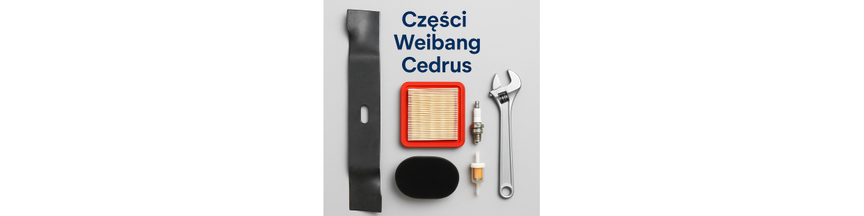 Części Serwisowe Weibang – Naprawa i Konserwacja