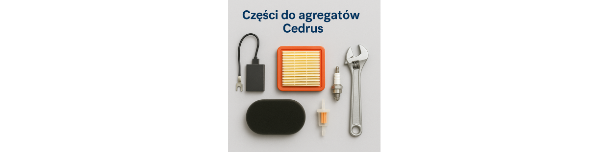Części do agregatów Cedrus | InstalPV.pl
