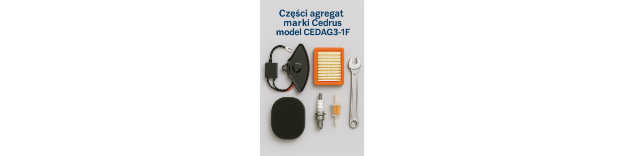 Części Cedrus CEDAG3-1F | InstalPV.pl