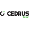 Cedrus Garden