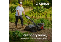 Glebogryzarka Cedrus GLX650 – poradnik, regulacja, problemy