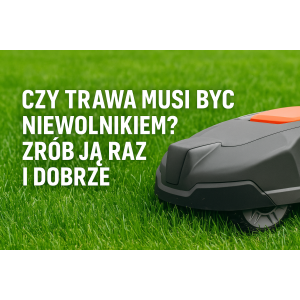 Czy trawa musi być niewolnikiem? Zrób ją raz i dobrze